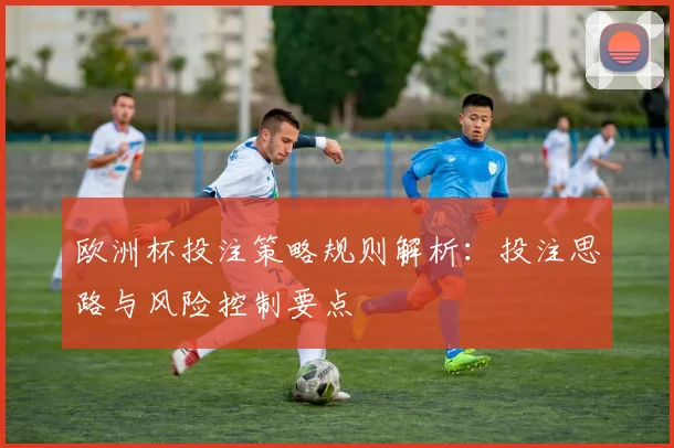 欧洲杯投注策略规则解析：投注思路与风险控制要点