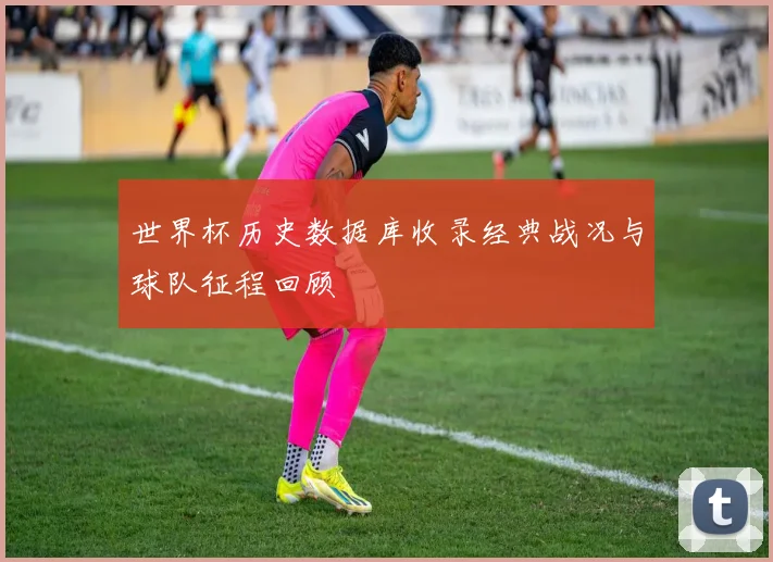 世界杯历史数据库收录经典战况与球队征程回顾